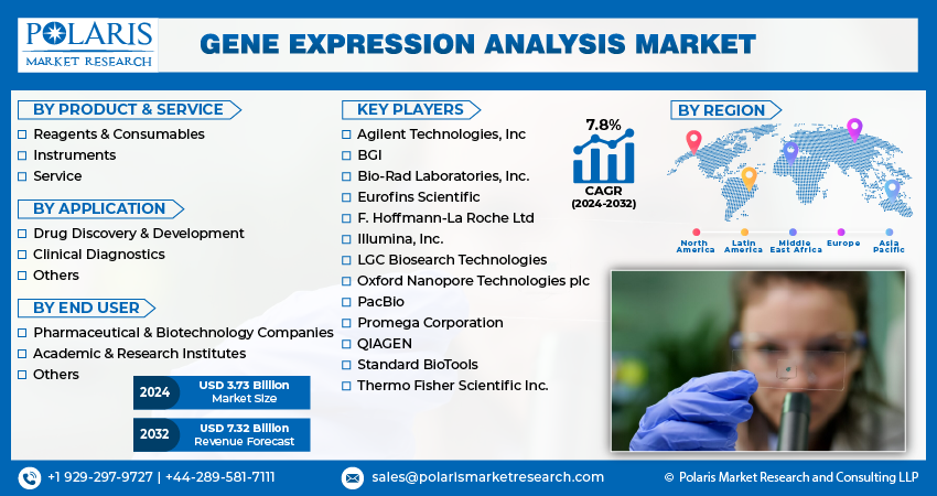 Gene Expression Analysis Market
